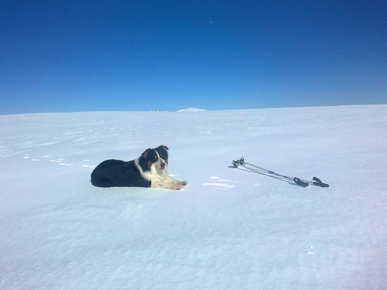 Zak Learns to Ski