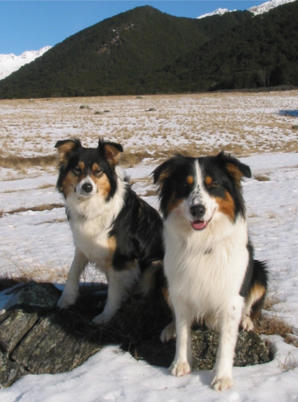 Ash and Zak